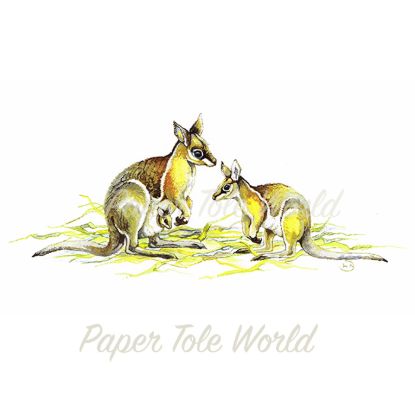 Picture of Aussie Wallaby - 11" x 7"