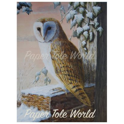 Picture of Barn Owl in the Snow - 13" x 17"