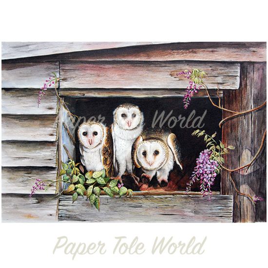 Picture of Barn Owls & Wisteria - 12" x 16"