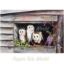 Picture of Barn Owls & Wisteria - 12" x 16"