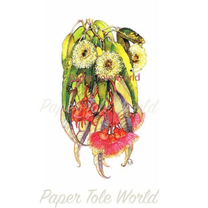 Picture of Blue Gum & Coral Gum - 11" x 7"