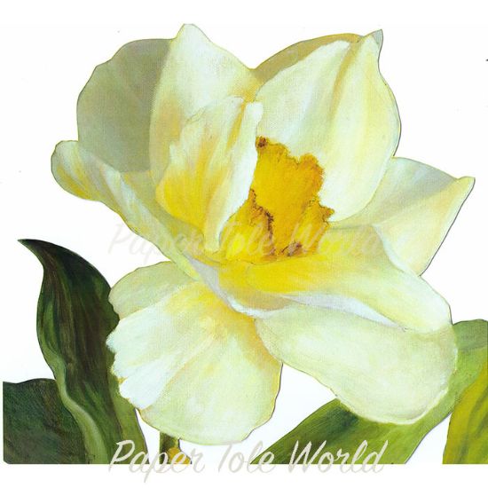 Picture of Daffodil Sky - 9" x 9"