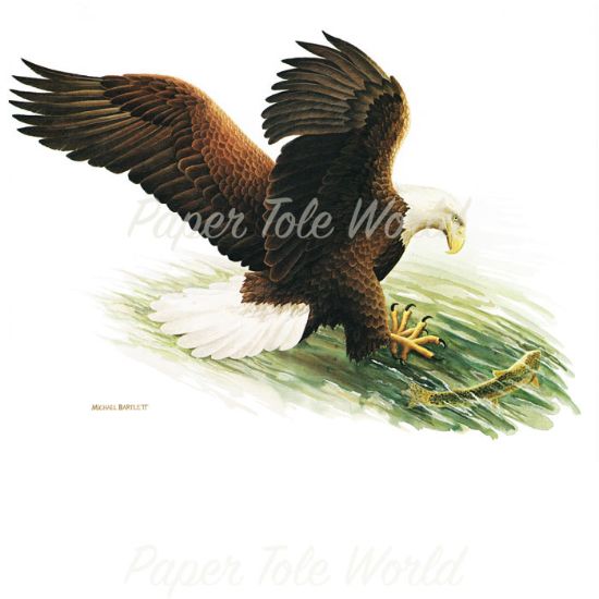 Picture of Eagle Fishing - 16" x 20"