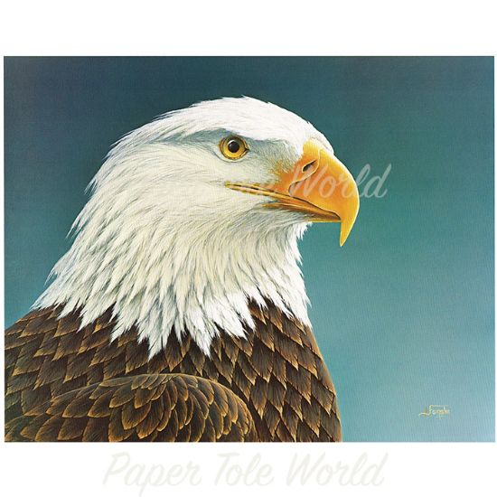 Picture of Eagle Head - 8" x 10"