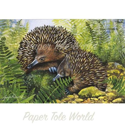 Picture of Echidna - 5" x 7"
