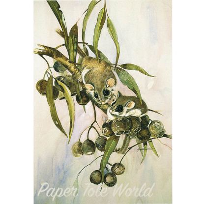 Picture of Feather Tail Gliders - 11.5" x 8.5"