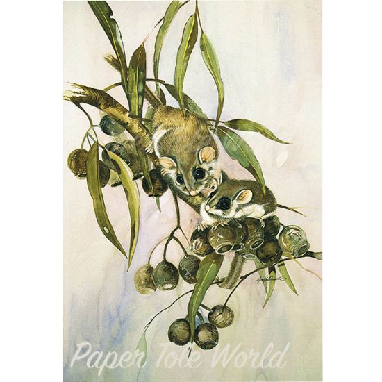 Picture of Feather Tail Gliders - 11.5" x 8.5"