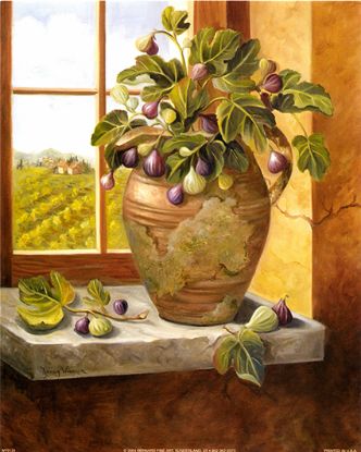 Picture of Figs in Tuscany - 8" x 10"