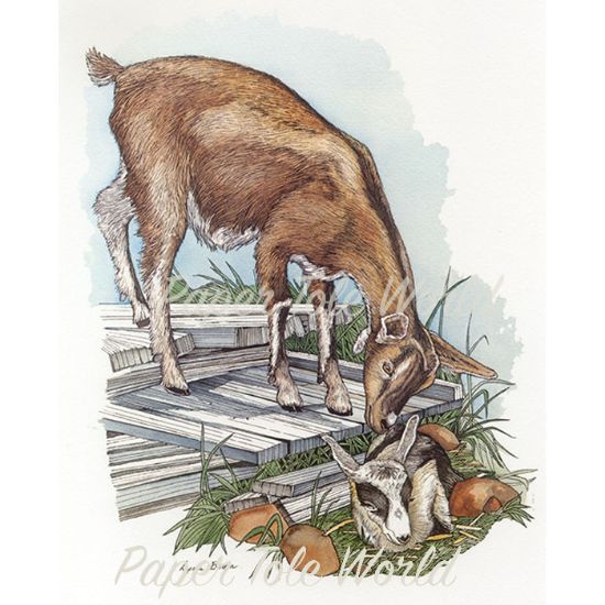 Picture of Goats - 8" x 10"