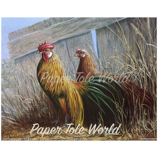 Picture of Gold Phoenix Cockerel - 8" x 10"