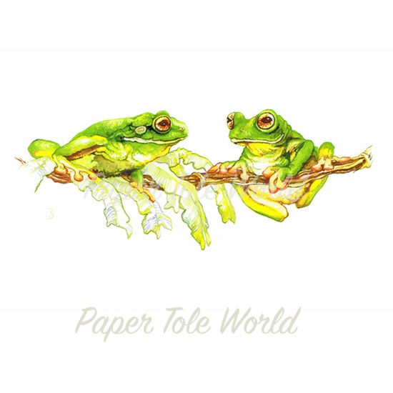 Picture of Green Tree Frogs - 11" x 7"