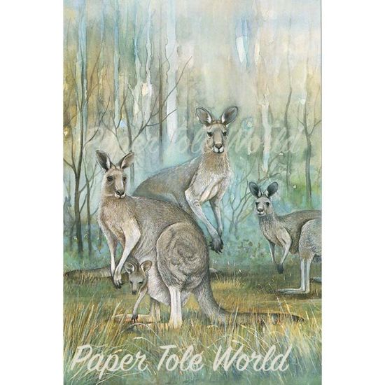 Picture of Kangaroos - 5" x 7"