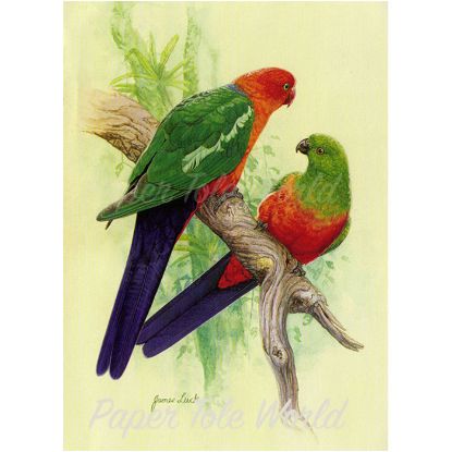 Picture of King Parrots - 6" x 8"