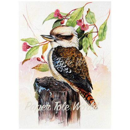 Picture of Kookaburra & Gum Flowers - 12" x 16"