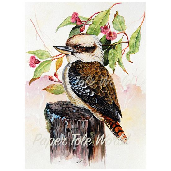 Picture of Kookaburra & Gum Flowers - 12" x 16"