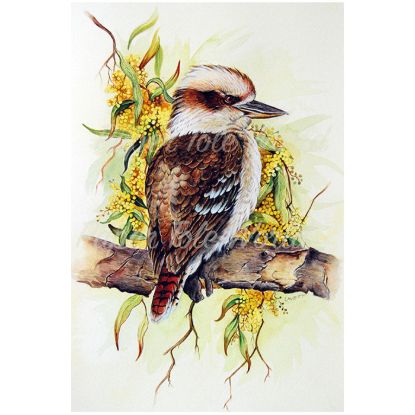 Picture of Kookaburra & Wattle - 8" x 10"
