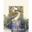 Picture of Kookaburra on Fence Post - 8" x 10"