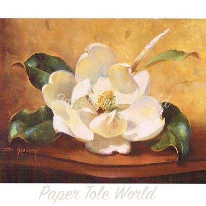 Picture of Magnolia Glow I - 8" x 10"