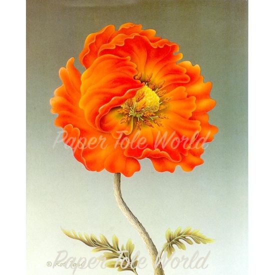 Picture of Orange Poppy - 8" x 10"
