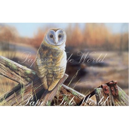 Picture of Owl on Fence - 11" x 14"