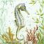 Picture of Pacific Seahorse - 10" x 10"