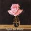 Picture of Pink Rose in Vase - 10" x 10"