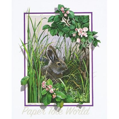 Picture of Rabbit - 8" x 10"