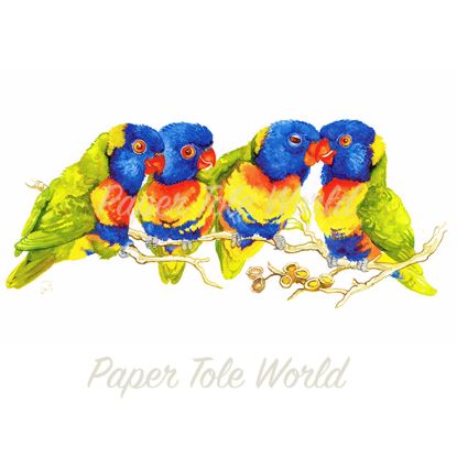 Picture of Rainbow Lorikeets - 11" x 7"