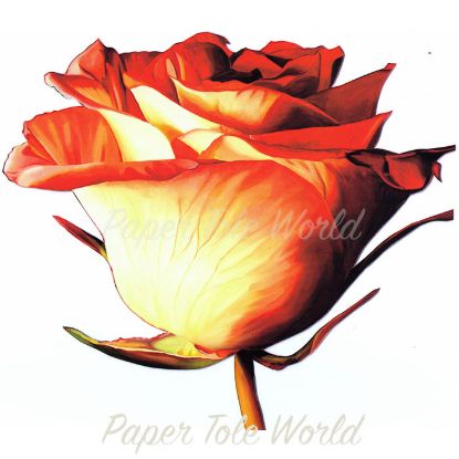 Picture of Rose Bud I - 9" x 9"