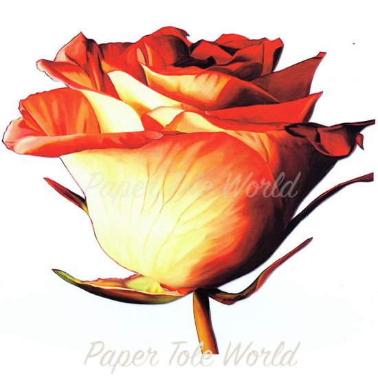 Picture of Rose Bud I - 9" x 9"