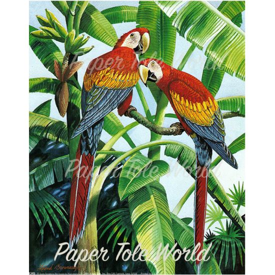 Picture of Scarlet Macaw - 8" x 10"