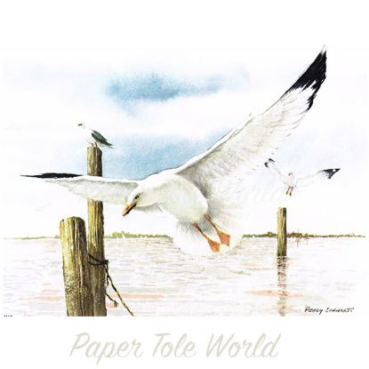 Picture of Seagull in Flight - 6" x 8"
