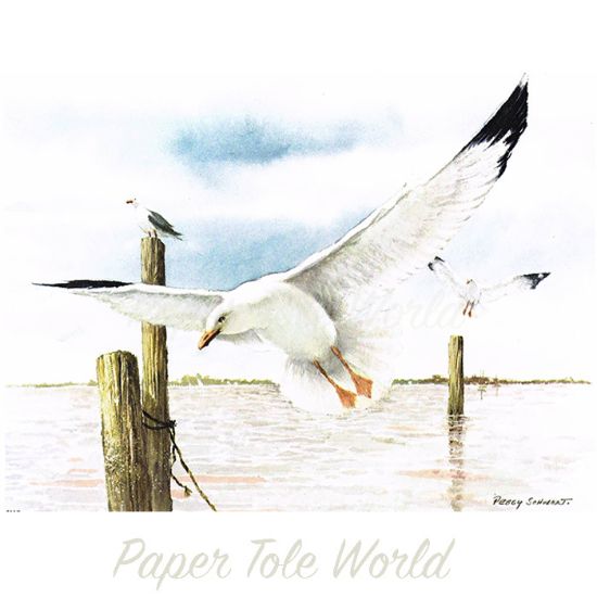 Picture of Seagull in Flight - 6" x 8"