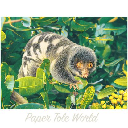 Picture of Spotted Cuscus - 14" x 10.5"