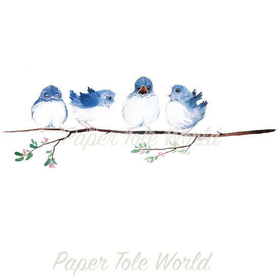 Picture of Squawking Birds - 6" x 15"