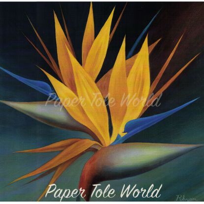 Picture of Strelitzia Double - 9" x 9"