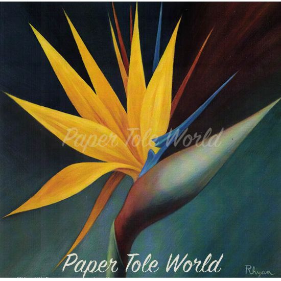 Picture of Strelitzia Single - 9" x 9"