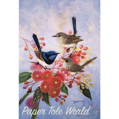 Picture of Superb Blue Wrens - 5" x 7"