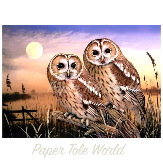 Picture of Tawny Owls - 12" x 16"