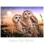 Picture of Tawny Owls - 12" x 16"