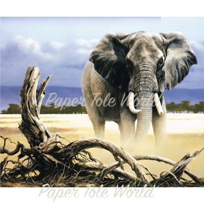 Picture of The Sentinel - 8" x 12"