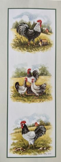 Picture of Three Chooks - 4" x 10"