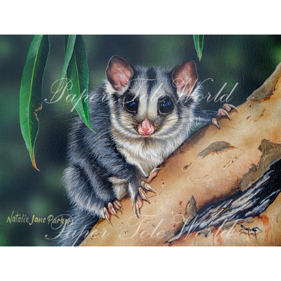 Picture of Friendly Visitor - 13.5" x 10.5"