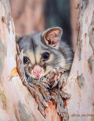 Picture of The Favourite Tree - 13.5" x 10.5"