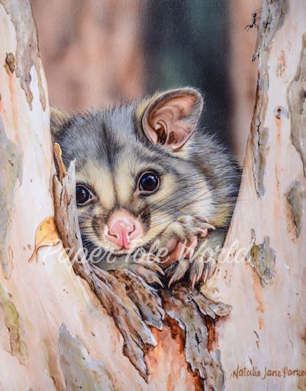 Picture of The Favourite Tree - 13.5" x 10.5"