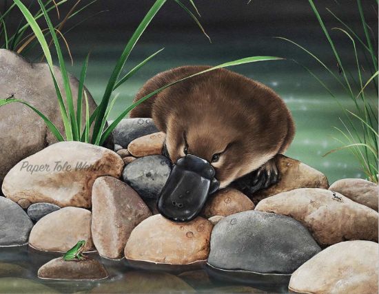 Picture of River Companions - 13.5" x 10.5"