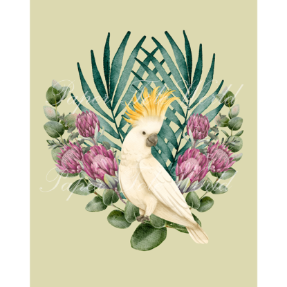 Picture of Cockatoo in Proteas - 8" x 10"