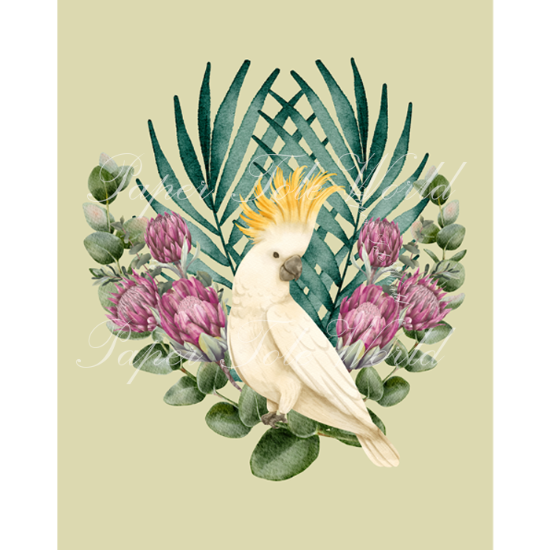 Picture of Cockatoo in Proteas - 8" x 10"