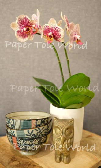 Picture of Still Life With Bowls, 6" x 10"