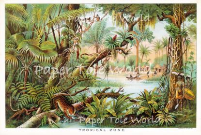 Picture of Tropical Zone 8" x 12"